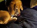 Tipper Loves Techno.