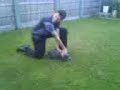 fail cat gets thrown over a fence