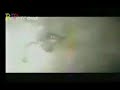 A.N.I.M.A.L - REVOLUCION