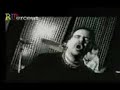 A.N.I.M.A.L - REVOLUCION