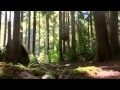 ABC's Once Upon A Time - 1x03 Snow Falls - Sneak Peek 2