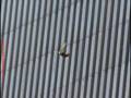 World Trade Center (Version Francaise)