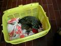 Dr.Hooman pet clinic(اتفاقهای با مزه در کلینیک دکتر هومن)
