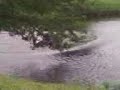 River Diving - Chalky!