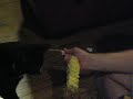 Oreo Eats Corn on the Cob