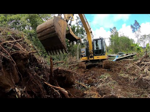 Grubbing and digging out stumps
