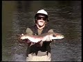 Massive Steelhead!!!!!!!!