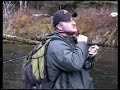 Massive Steelhead!!!!!!!! Massive Steelhead!!!!!!!!