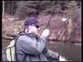 Massive Steelhead!!!!!!!!
