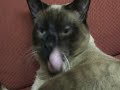 BLONDE WET PUSSY