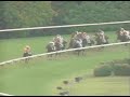 The 68th Nihon Derby - Jungle Pocket