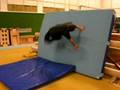 videos de Reverse wallspin