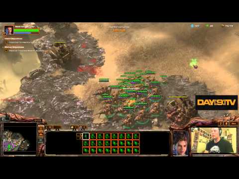 starcraft 2 swarm