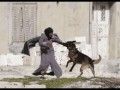 فلسطينية يعضها كلب مسعور أسرائيلي --بالصور