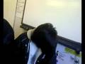 videos de emo flick at valley comp worksop