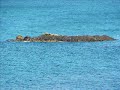 14  a moi france   quiberon belle ile en mer    day 15
