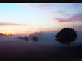 Morning Fog.wmv Morning Fog.wmv