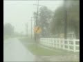 Hahnville Scenes - Gustav Hahnville Scenes - Gustav