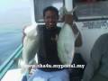 www.cha4u.myportal.my,gambar pancing ikan