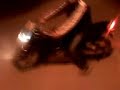 niku iosia honda CBR 125 \"nebun\"...by RAULO niku iosia honda CBR 125 \"nebun\"...by RAULO
