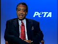Rev. Al Sharpton Takes On KFC