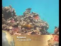 Hurghada Coral Beach 2009