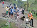 mushing Ushuia By Lenadro Flores mushing Ushuia By Lenadro Flores