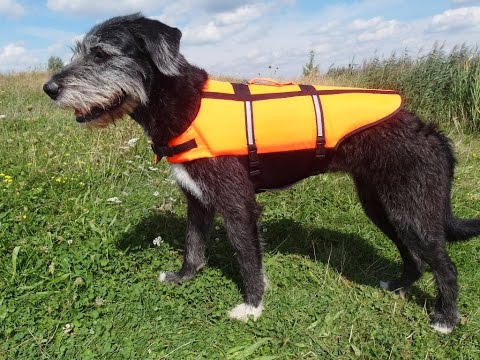 Julie testet: Schwimmwesten für Hunde