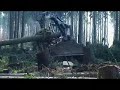 Sturmholz und Käferbäume