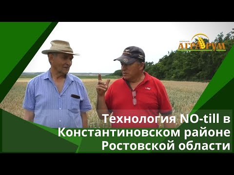 Опыт прямого посева (NO-till) в Константиновском районе Ростовской области