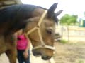 Amadeo und Nini xDD Amadeo und Nini xDD
