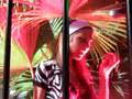 videos de jungle Ricky Salerno@forever!!!!