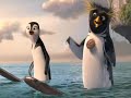 surfs up