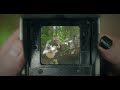 SEAN HALL - THE ENCHANTMENTS