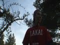 Nosebonk crate over carrage gap
