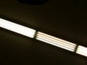 Lights Lights