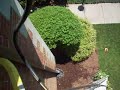 Gutter and Down spout cleaning