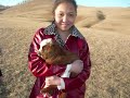 www.MGLancer.miniih.co (part 3).wmv