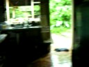 Tour Part III Cabinas Gandoca Costa Rica