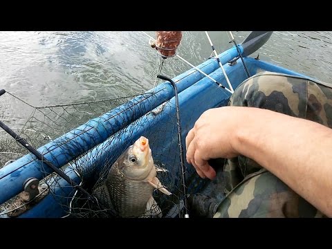 Ловля гибрида весной видео Ловля гибрида весной видео