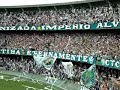 IR ATÉ O INFERNO - CORITIBA x porcos 2008 IR ATÉ O INFERNO - CORITIBA x porcos 2008