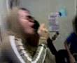 greyhoundz pigface upaw