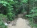 pure bikage 1