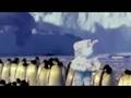 Love, Sex and Penguins: A. Lapin Oddity