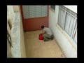 O resgate da Gata O resgate da Gata