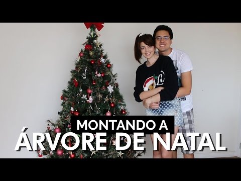 Vlog: Montando a árvore de Natal | Lia Camargo, Dani e gatinios