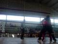 open sulamericano de artes marciais