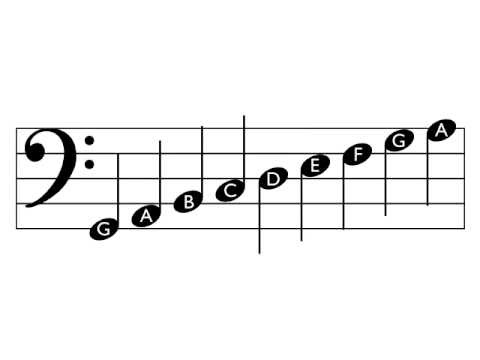 how to read bass clef