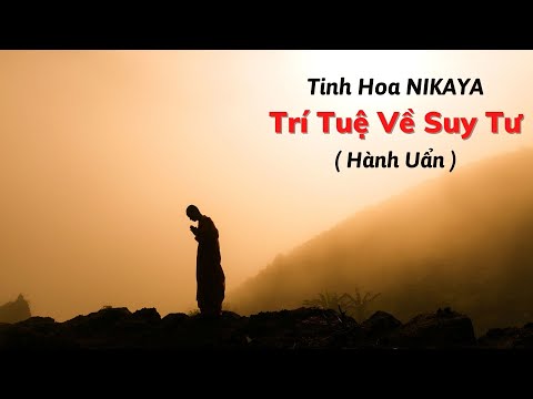 Tinh Hoa NIKAYA - Trí Tuệ Về Suy Tư ( Hành Uẩn )