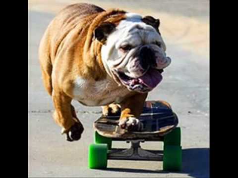 Imagen de previsualización de YouTube